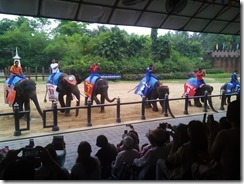 IMG_20160328_140042 IMG_20160328_140042